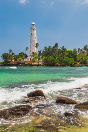 TST TOURS SRI LANKA (1)