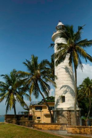 TST TOURS SRI LANKA (2)