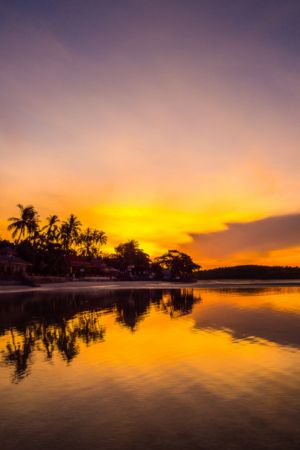 TST TOURS SRI LANKA (4)
