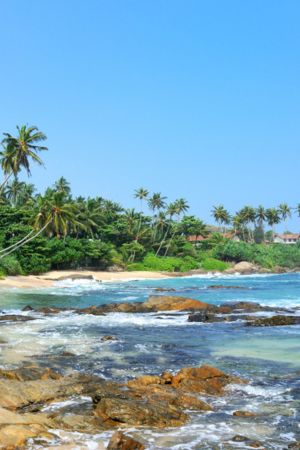 TST TOURS SRI LANKA (5)