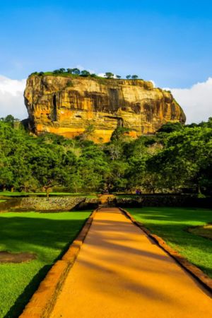 TST TOURS SRI LANKA (6)