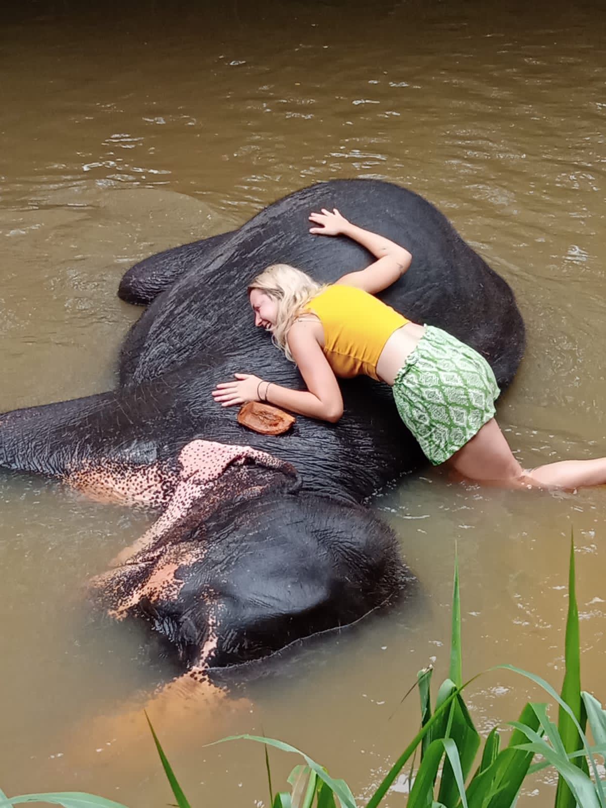 tst tours srilanka (5)